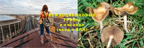 прущие грибы Лагань